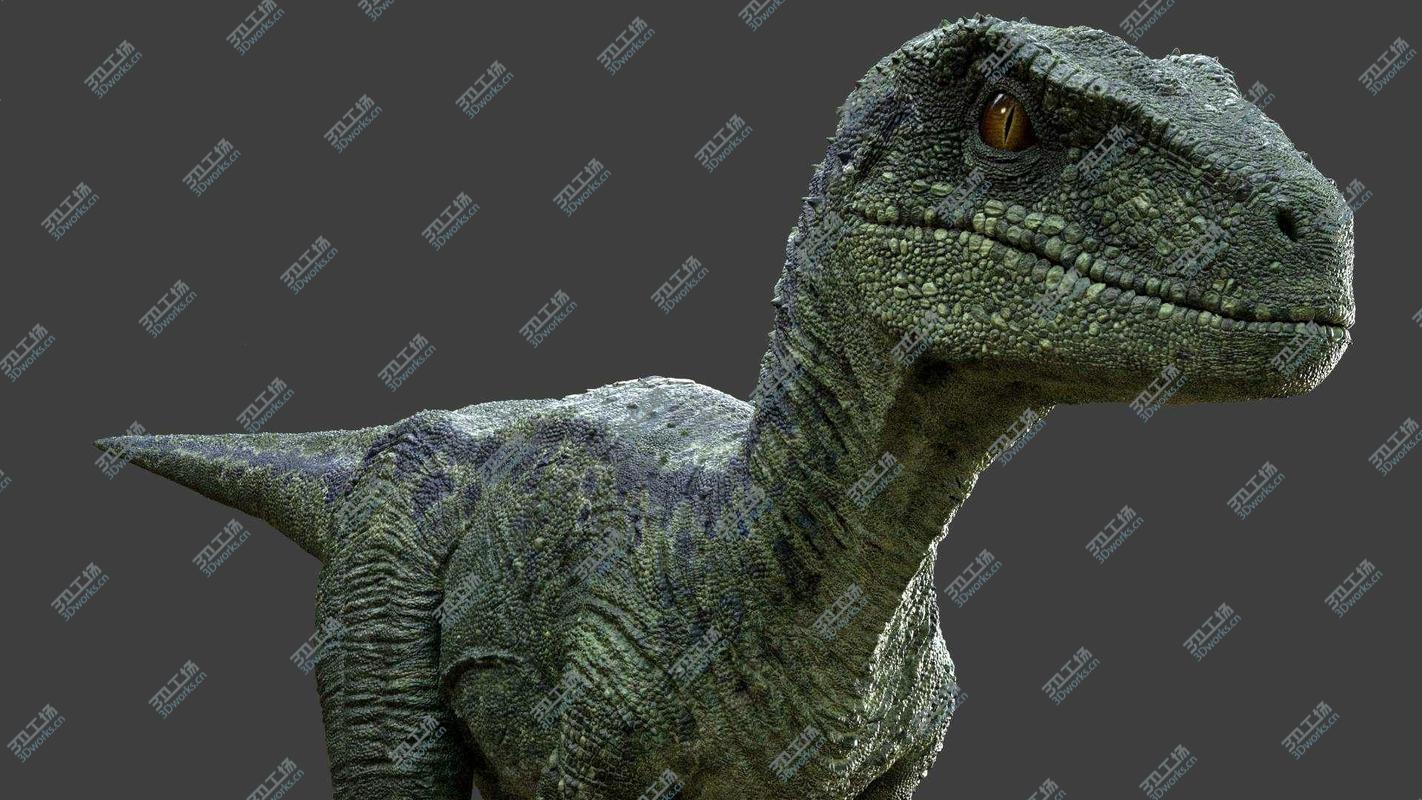 images/goods_img/202104091/Raptor Maya Rig 3D/5.jpg
